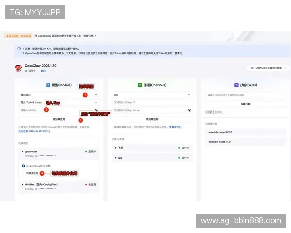 平台有跟bbin购买api接入的技术要求与开发环境配置指南
